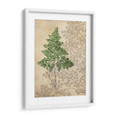 Helechos Británicos I - John Butler | Cuadro decorativo de Canvas Lab