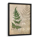 Fernos Británicos Iii - John Butler | Cuadro decorativo de Canvas Lab