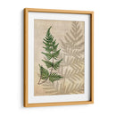 Fernos Británicos Iii - John Butler | Cuadro decorativo de Canvas Lab