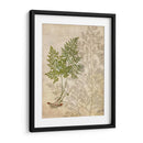 Férinas Británicas Iv - John Butler | Cuadro decorativo de Canvas Lab