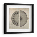 Corte Cruzado I - John Butler | Cuadro decorativo de Canvas Lab