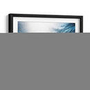 Coral seco bajo el mar | Cuadro decorativo de Canvas Lab