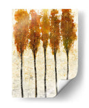 Costal De Cristal Ii - Tim OToole | Cuadro decorativo de Canvas Lab