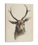 Estudio Animal De Acuarela I - Grace Popp | Cuadro decorativo de Canvas Lab