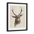 Estudio Animal De Acuarela I - Grace Popp | Cuadro decorativo de Canvas Lab