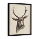 Estudio Animal De Acuarela I - Grace Popp | Cuadro decorativo de Canvas Lab