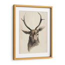 Estudio Animal De Acuarela I - Grace Popp | Cuadro decorativo de Canvas Lab