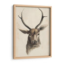 Estudio Animal De Acuarela I - Grace Popp | Cuadro decorativo de Canvas Lab