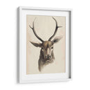 Estudio Animal De Acuarela I - Grace Popp | Cuadro decorativo de Canvas Lab