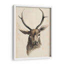 Estudio Animal De Acuarela I - Grace Popp | Cuadro decorativo de Canvas Lab