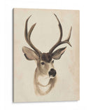 Estudio Animal Acuarela Ii - Grace Popp | Cuadro decorativo de Canvas Lab