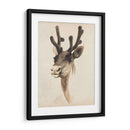 Estudio Animal De Acuarela Iii - Grace Popp | Cuadro decorativo de Canvas Lab