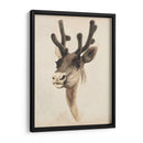 Estudio Animal De Acuarela Iii - Grace Popp | Cuadro decorativo de Canvas Lab