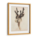 Estudio Animal De Acuarela Iii - Grace Popp | Cuadro decorativo de Canvas Lab