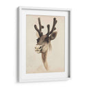 Estudio Animal De Acuarela Iii - Grace Popp | Cuadro decorativo de Canvas Lab