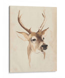 Estudio Animal Acuarela Iv - Grace Popp | Cuadro decorativo de Canvas Lab