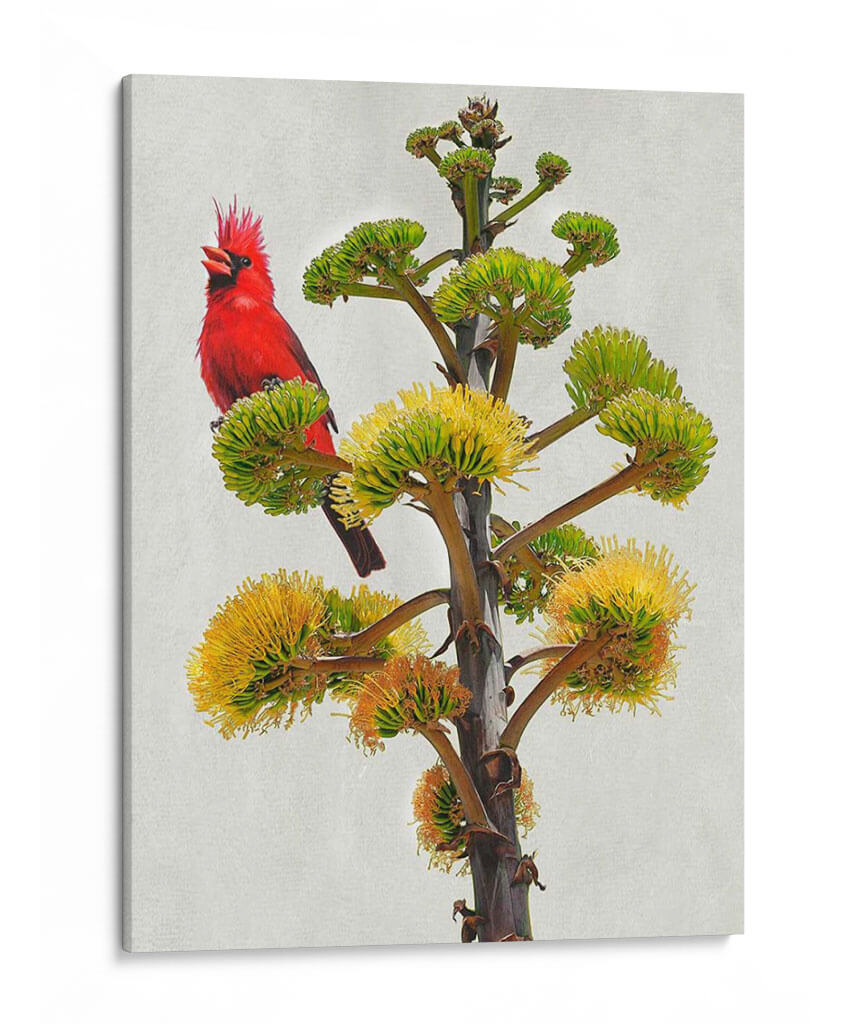 Avian Tropics I - Chris Vest | Cuadro decorativo de Canvas Lab