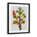 Avian Tropics I - Chris Vest | Cuadro decorativo de Canvas Lab