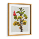 Avian Tropics I - Chris Vest | Cuadro decorativo de Canvas Lab