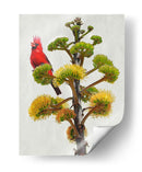Avian Tropics I - Chris Vest | Cuadro decorativo de Canvas Lab