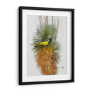 Avian Tropics Ii - Chris Vest | Cuadro decorativo de Canvas Lab