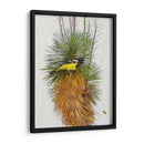 Avian Tropics Ii - Chris Vest | Cuadro decorativo de Canvas Lab