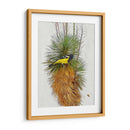 Avian Tropics Ii - Chris Vest | Cuadro decorativo de Canvas Lab