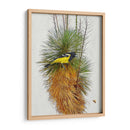 Avian Tropics Ii - Chris Vest | Cuadro decorativo de Canvas Lab