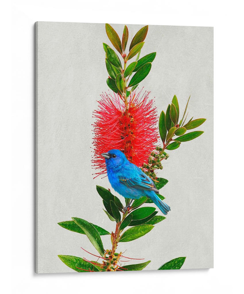 Avian Tropics Iii - Chris Vest | Cuadro decorativo de Canvas Lab