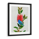 Avian Tropics Iii - Chris Vest | Cuadro decorativo de Canvas Lab