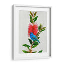 Avian Tropics Iii - Chris Vest | Cuadro decorativo de Canvas Lab
