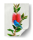 Avian Tropics Iii - Chris Vest | Cuadro decorativo de Canvas Lab