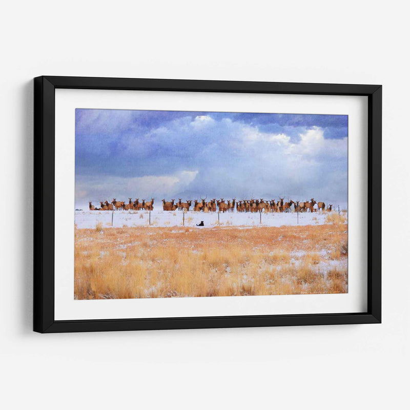 Zippy Y Los Alces - Chris Vest | Cuadro decorativo de Canvas Lab