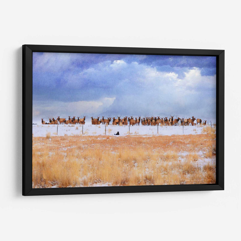 Zippy Y Los Alces - Chris Vest | Cuadro decorativo de Canvas Lab