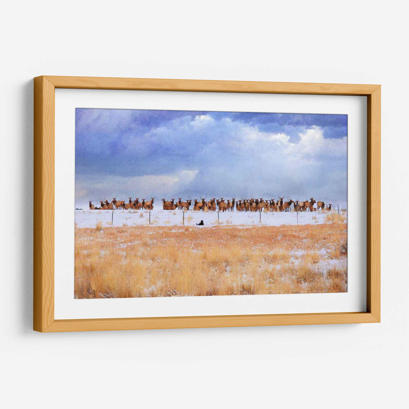 Zippy Y Los Alces - Chris Vest | Cuadro decorativo de Canvas Lab