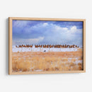 Zippy Y Los Alces - Chris Vest | Cuadro decorativo de Canvas Lab