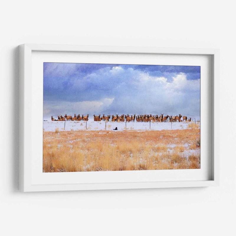Zippy Y Los Alces - Chris Vest | Cuadro decorativo de Canvas Lab