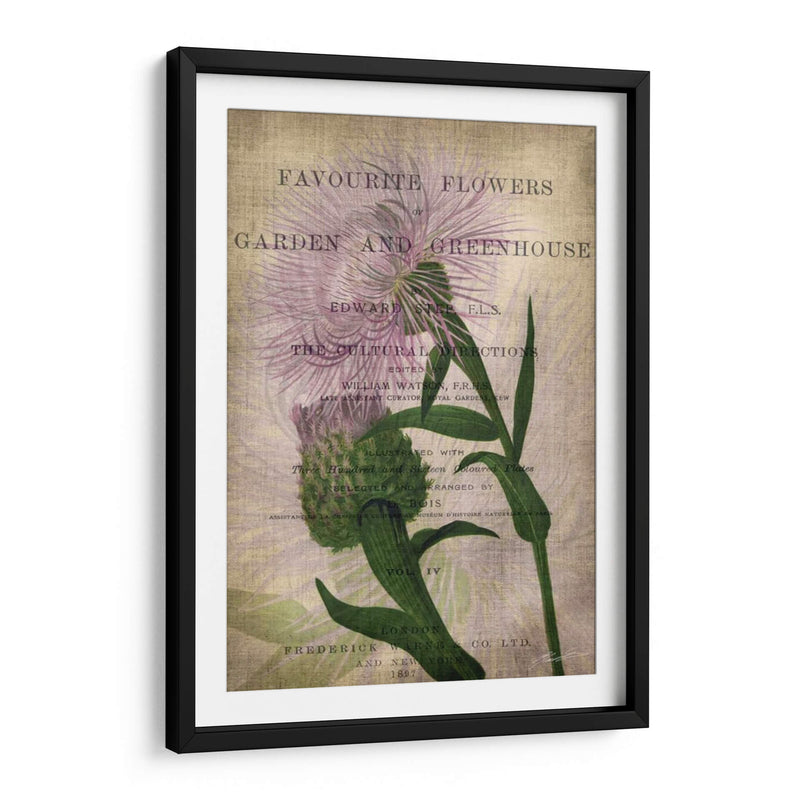 Flores Favoritas Ii - John Butler | Cuadro decorativo de Canvas Lab