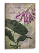 Flores Favoritas Iii - John Butler | Cuadro decorativo de Canvas Lab