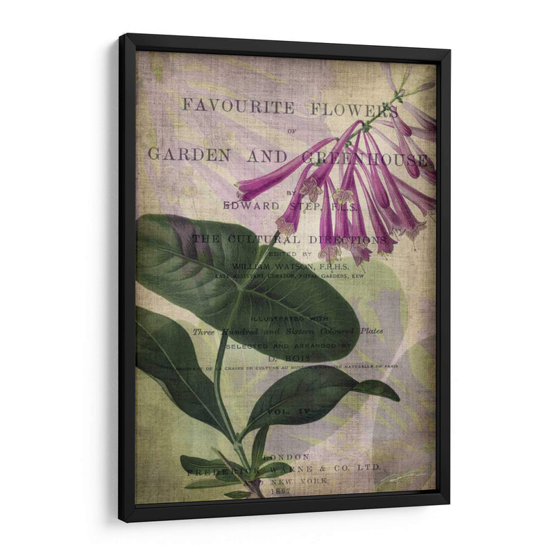 Flores Favoritas Iii - John Butler | Cuadro decorativo de Canvas Lab