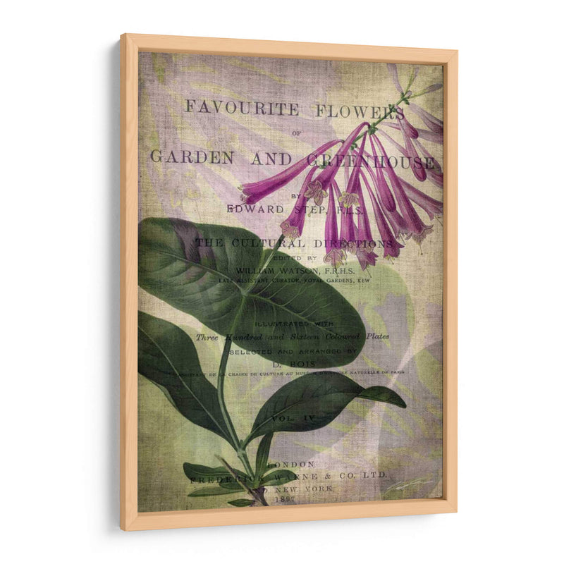 Flores Favoritas Iii - John Butler | Cuadro decorativo de Canvas Lab