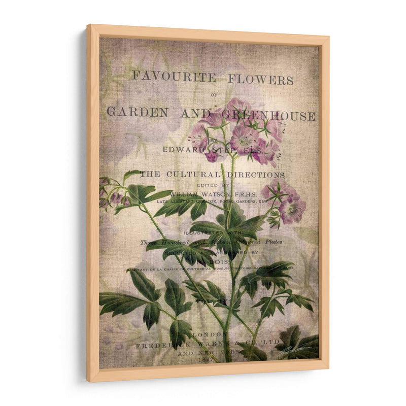 Flores Favoritas Iv - John Butler | Cuadro decorativo de Canvas Lab