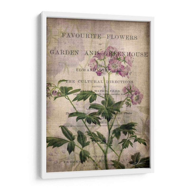 Flores Favoritas Iv - John Butler | Cuadro decorativo de Canvas Lab