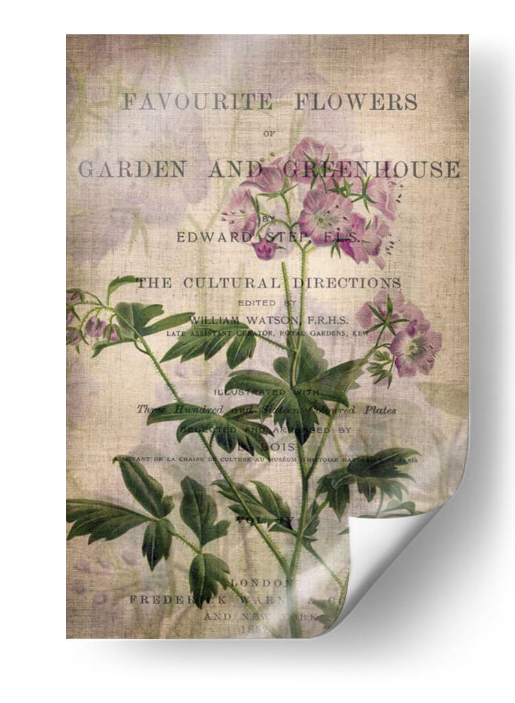 Flores Favoritas Iv - John Butler | Cuadro decorativo de Canvas Lab