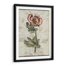 Recuerdo Floral I - Jennifer Goldberger | Cuadro decorativo de Canvas Lab