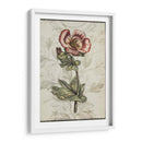 Recuerdo Floral I - Jennifer Goldberger | Cuadro decorativo de Canvas Lab