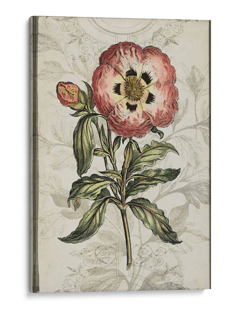 Recuerdo Floral Ii - Jennifer Goldberger | Cuadro decorativo de Canvas Lab