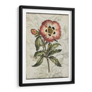 Recuerdo Floral Ii - Jennifer Goldberger | Cuadro decorativo de Canvas Lab