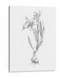 Boceto Botánico I - Ethan Harper | Cuadro decorativo de Canvas Lab