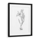 Boceto Botánico I - Ethan Harper | Cuadro decorativo de Canvas Lab